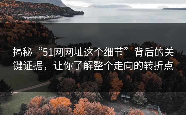 揭秘“51网网址这个细节”背后的关键证据，让你了解整个走向的转折点