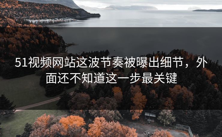 51视频网站这波节奏被曝出细节,外面还不知道这一步最关键