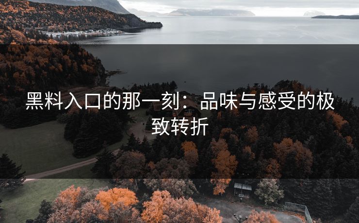 黑料入口的那一刻：品味与感受的极致转折