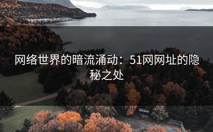 网络世界的暗流涌动：51网网址的隐秘之处